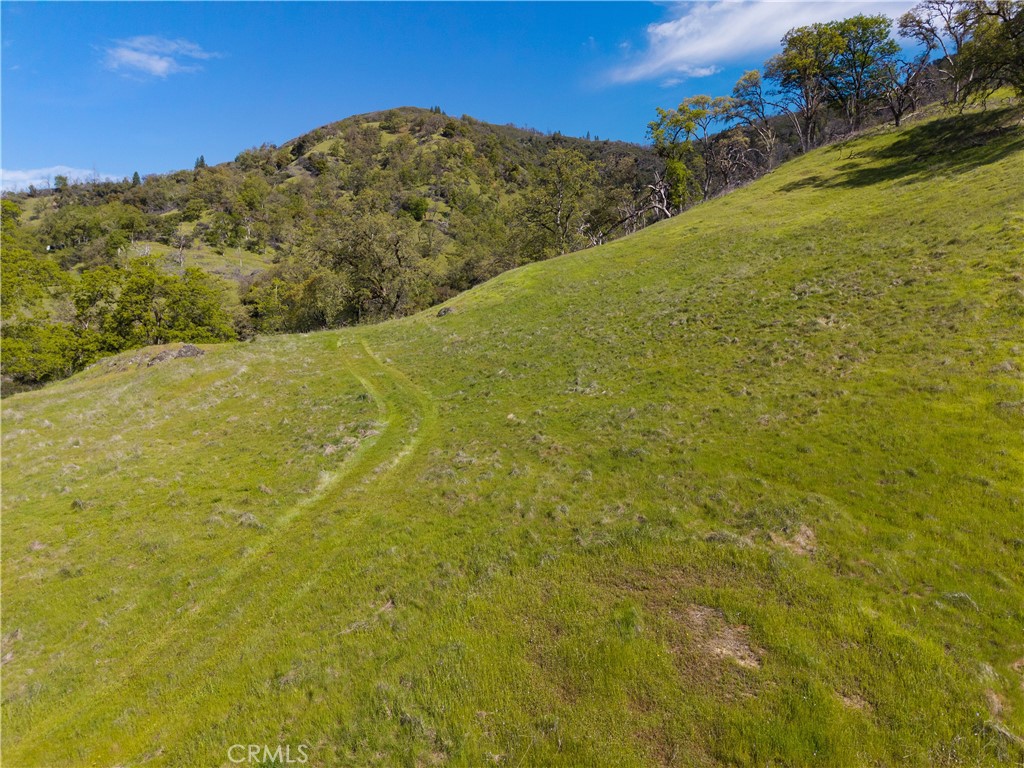 10950 Bachelor Valley Road Upper Lake, CA 95493 - Photo 9 of 28 a view of a field with an ocean view