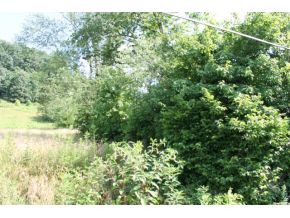 Tr #2 Tr Road, Unit 2 Bristol, VA 24202 - Photo 3 of 5 Photo 3
