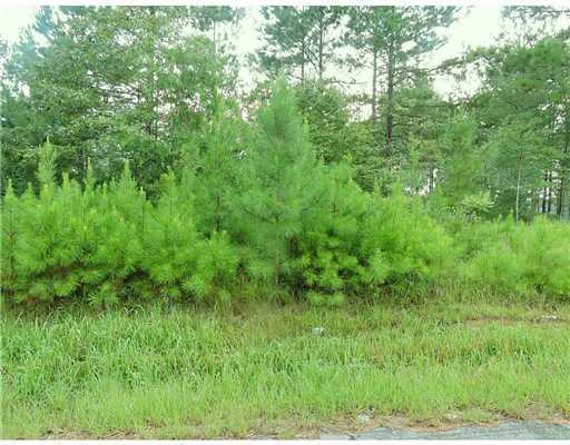 3 Ida Miller Road Lucedale, MS 39452 - Photo 1 of 10 Primary Photo