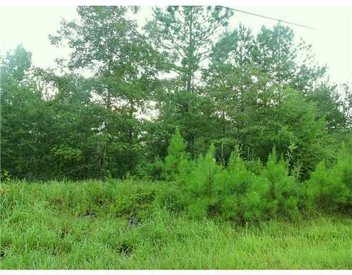 3 Ida Miller Road Lucedale, MS 39452 - Photo 3 of 10 Additional Photo