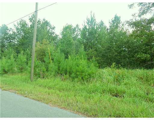 3 Ida Miller Road Lucedale, MS 39452 - Photo 4 of 10 Additional Photo