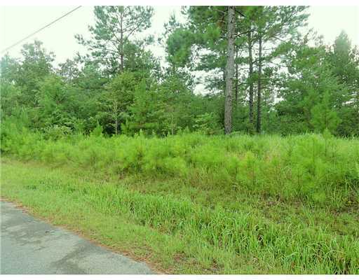 3 Ida Miller Road Lucedale, MS 39452 - Photo 9 of 10 Additional Photo
