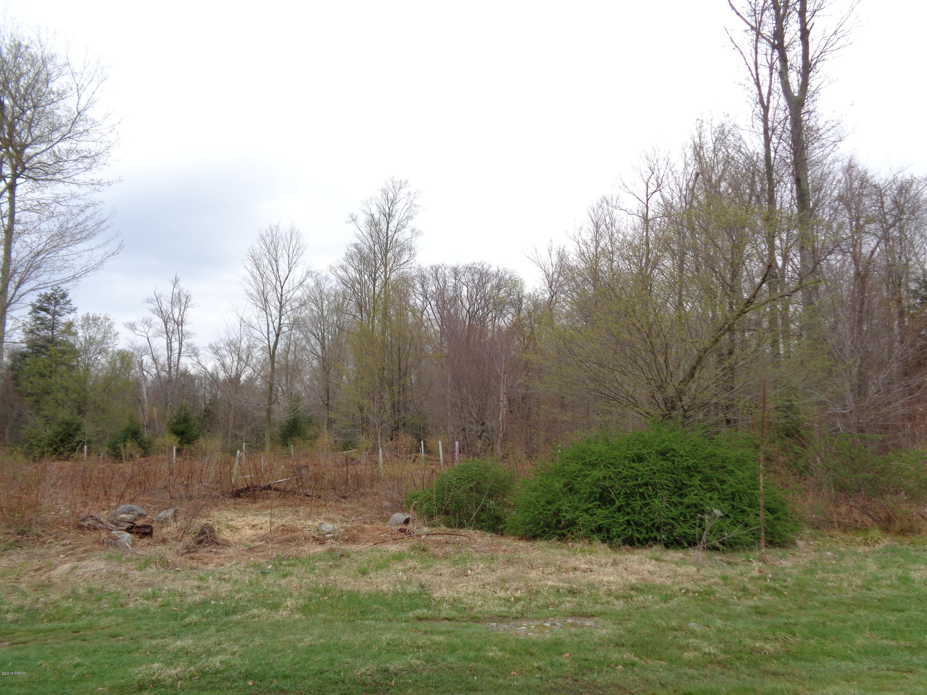 224 North Shore Road Hawley, PA 18428 - Photo 27 of 41 State Land Behind House