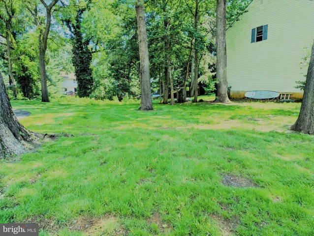 a view of a backyard with a trees