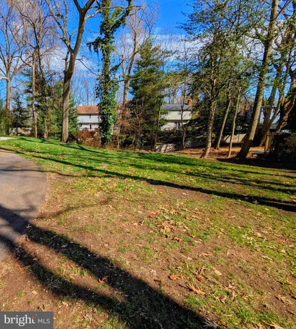 a view of a field with of trees
