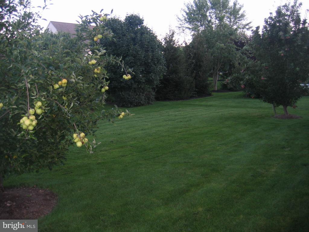 1363 Sylvan Road Lancaster, PA 17601 - Photo 3 of 16