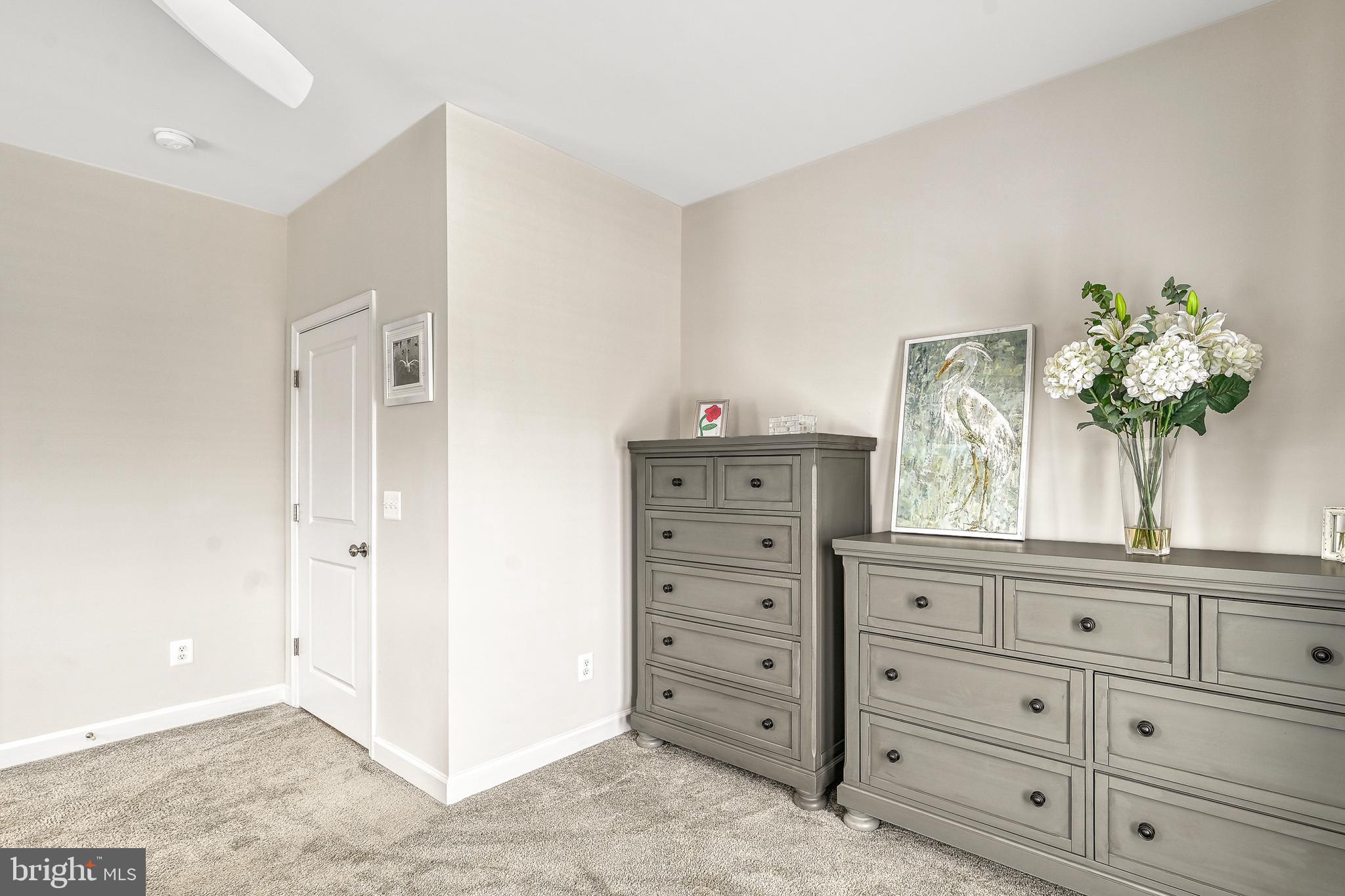 287 Sunset Loop Mineral, VA 23117 - Photo 47 of 112 a room with a dresser and a potted plant