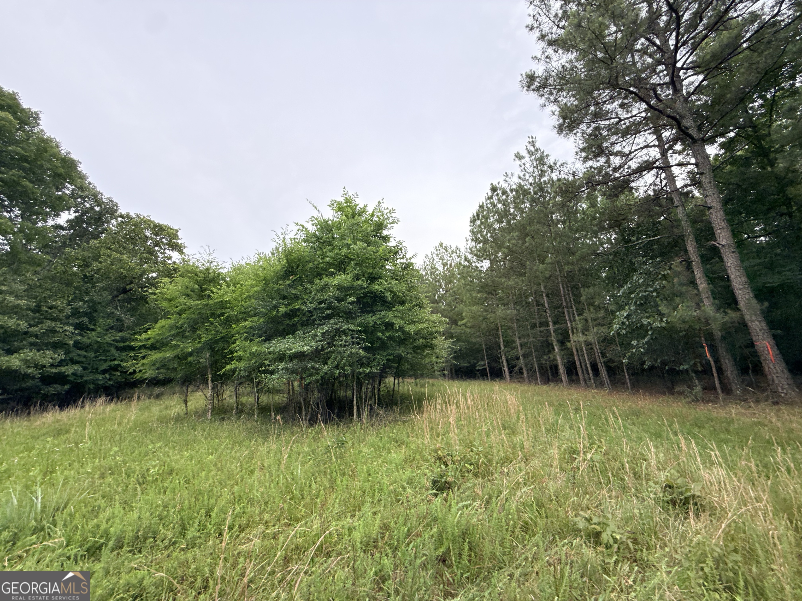 2 Bethesda Church Road Lexington, GA 30648 - Photo 7 of 66