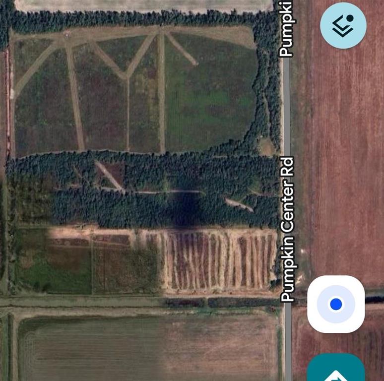 Tbd Tbd Pumpkin Center Road Iowa, LA 70647 - Photo 4 of 4