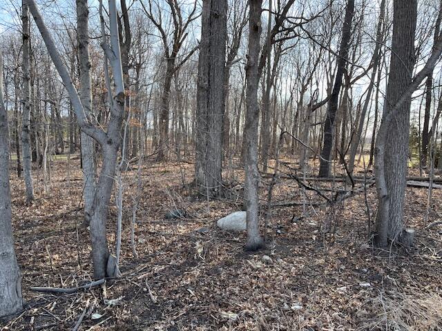 0 River Valley Road Ixonia, WI 53036 - Photo 5 of 11 IMG_7917