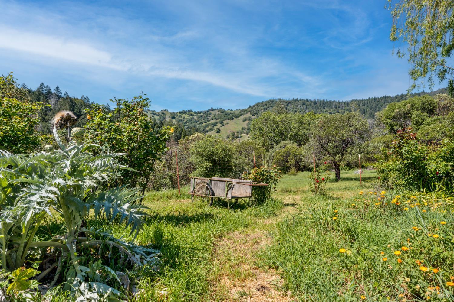 3751 Low Gap Road Ukiah, CA 95482 - Photo 18 of 22 a view of a lush green outdoor space with a lake view