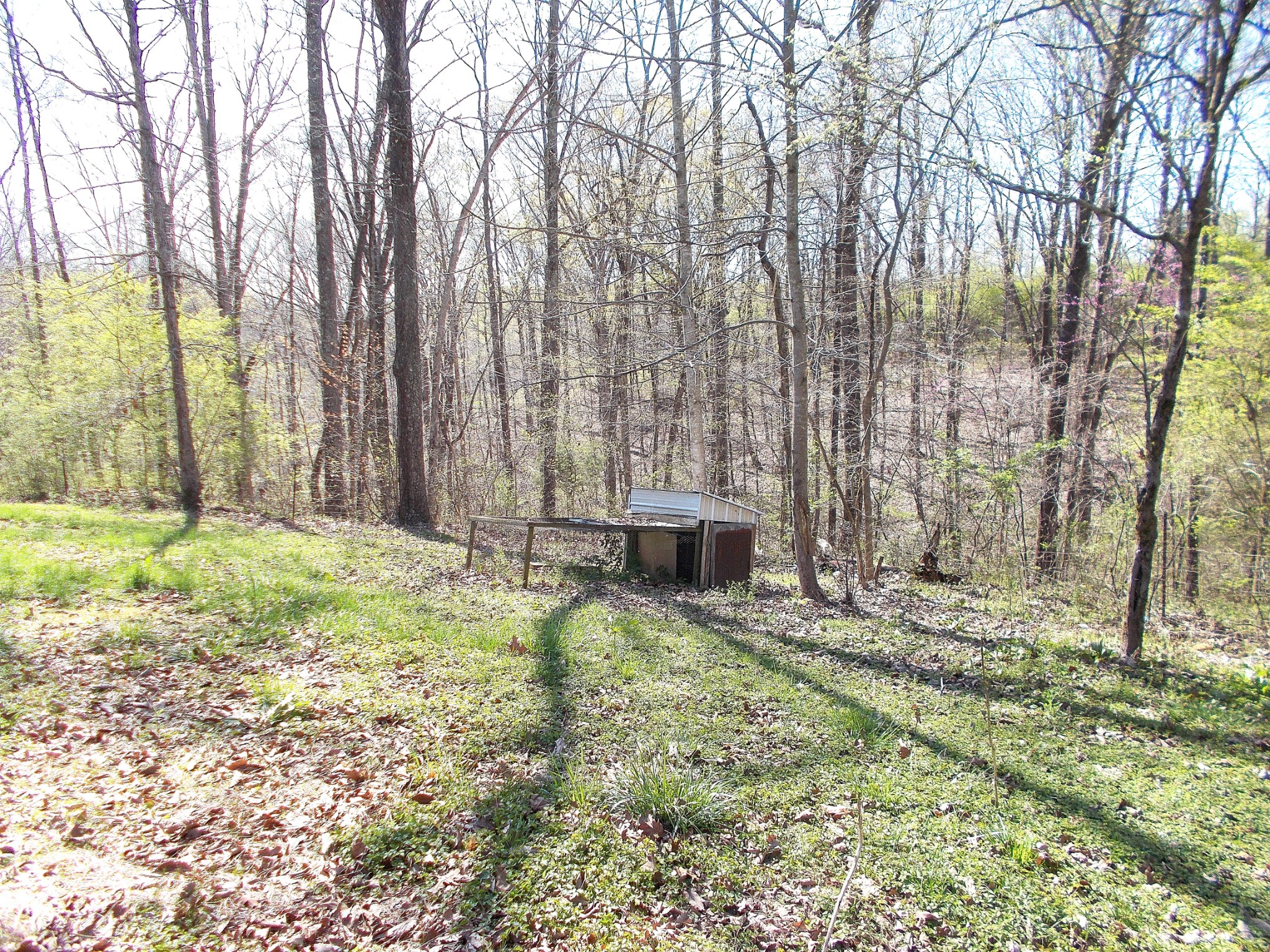 5251 Morgan Creek Road Centerville, TN 37033 - Photo 27 of 31 a backyard of a house with lots of green space and fountain