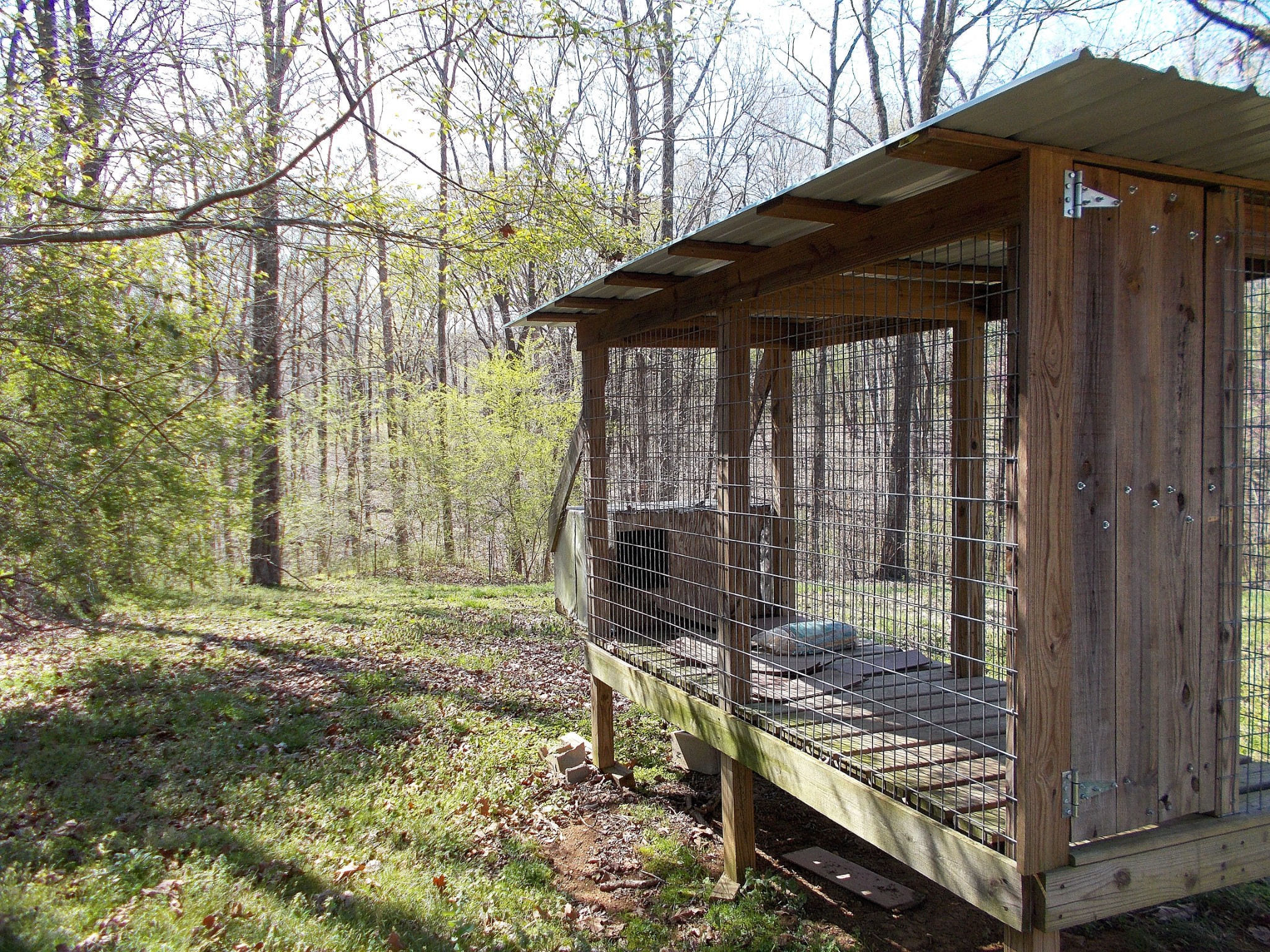 5251 Morgan Creek Road Centerville, TN 37033 - Photo 30 of 31 a view of a backyard with a area