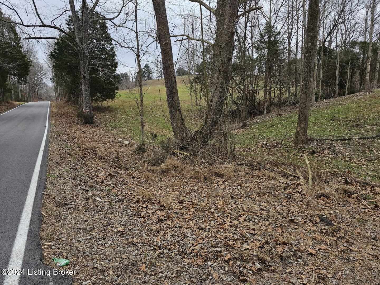 3 Nancy Priddy Road Upton, KY 42784 - Photo 10 of 21 20240209_133036 (Large)
