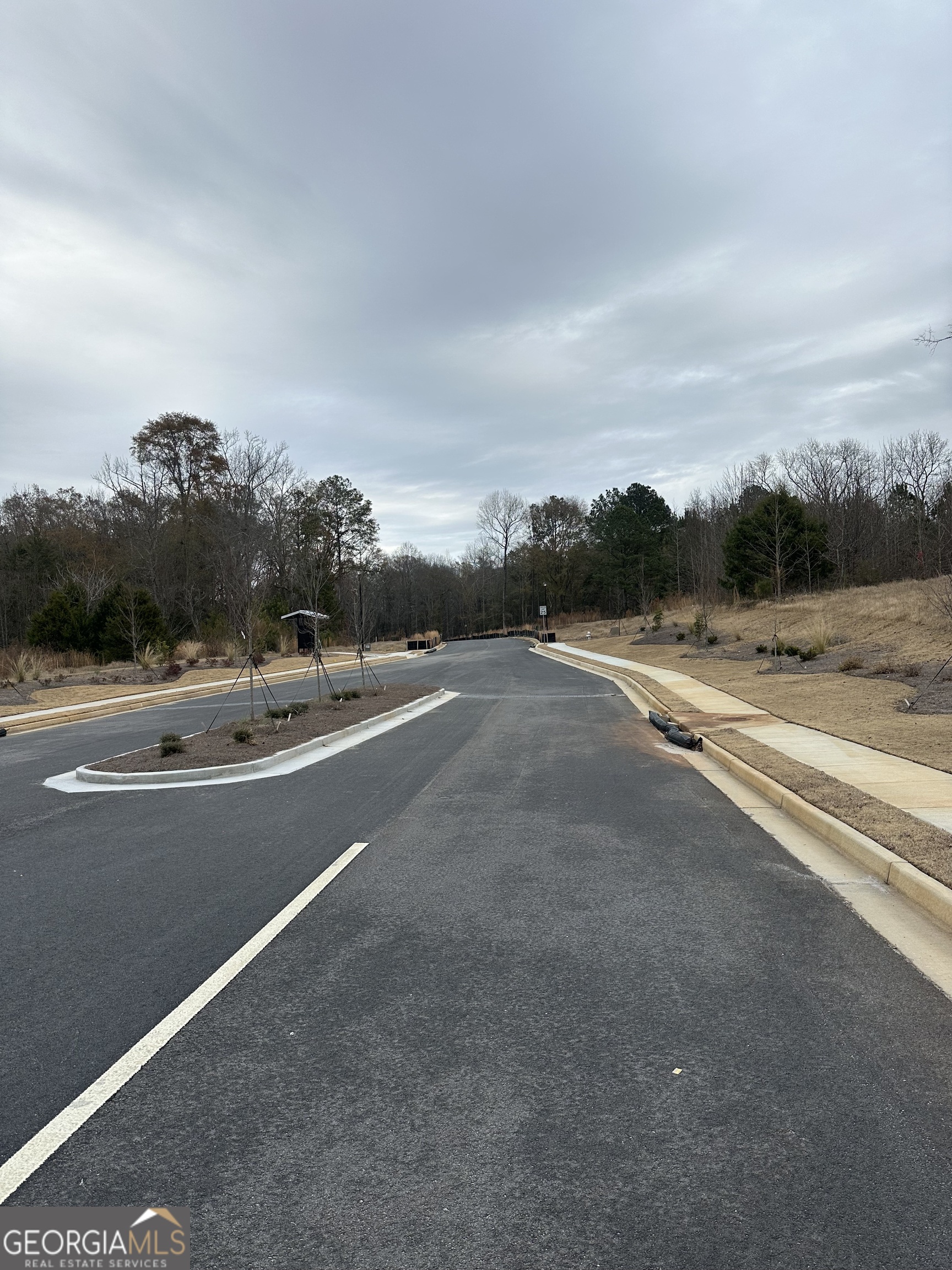 109 Edmonson Way Stockbridge, GA 30281 - Photo 3 of 9 an outdoor view with a road