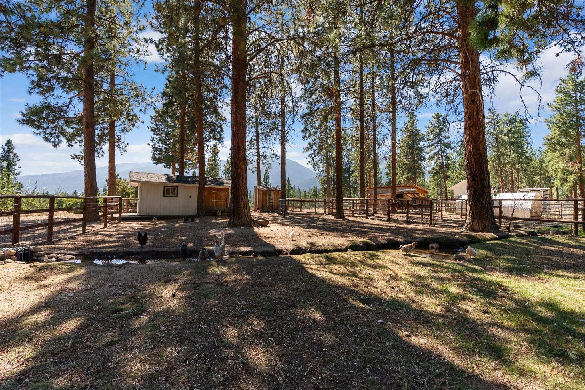 821 Fred Burr Road Victor, MT 59875 - Photo 43 of 65 Gallery Image 43