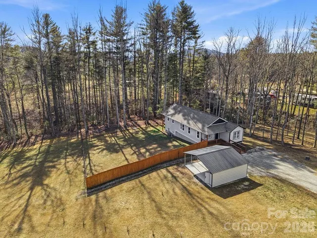 a view of a backyard with plants and a bench