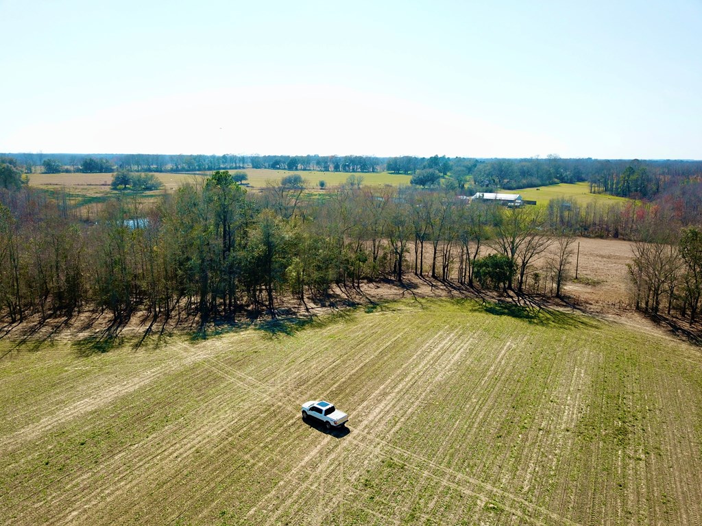 4.9-acres Grady Garner Road Slocomb, AL 36375 - Photo 55 of 70