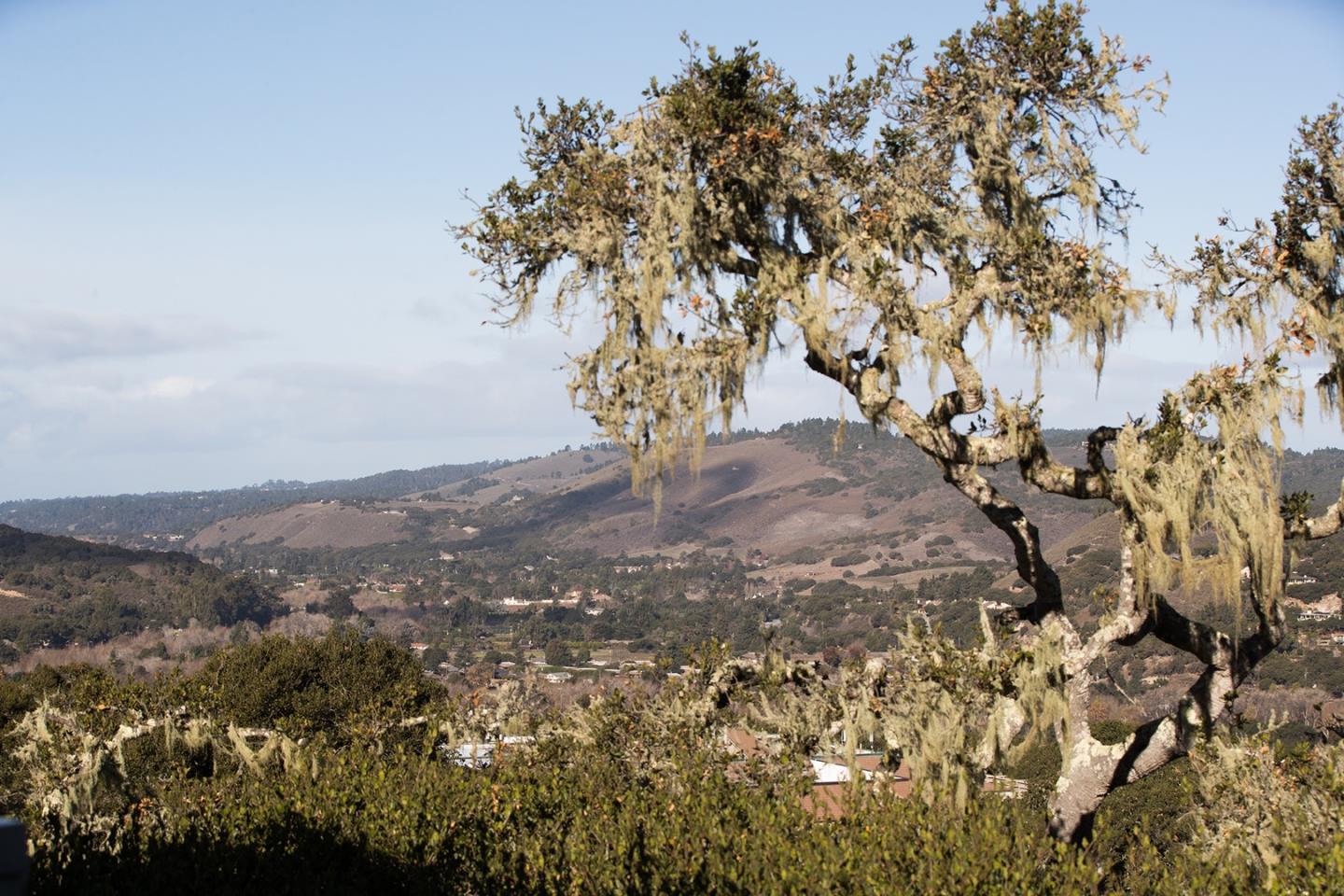 10423 Fairway Lane Carmel, CA 93923 - Photo 2 of 16