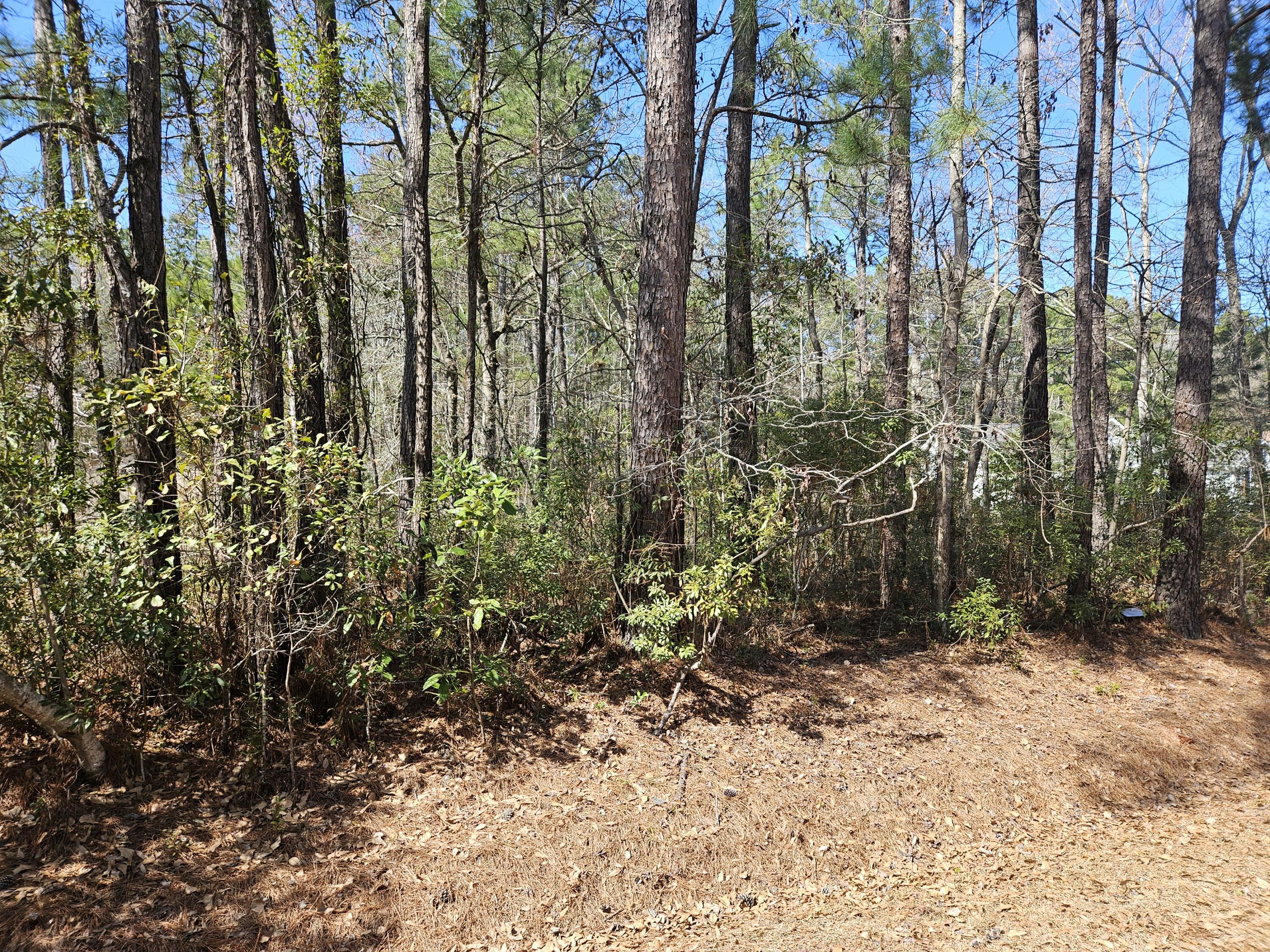 0 Brock Street Georgetown, SC 29440 - Photo 4 of 4 20250224_122436