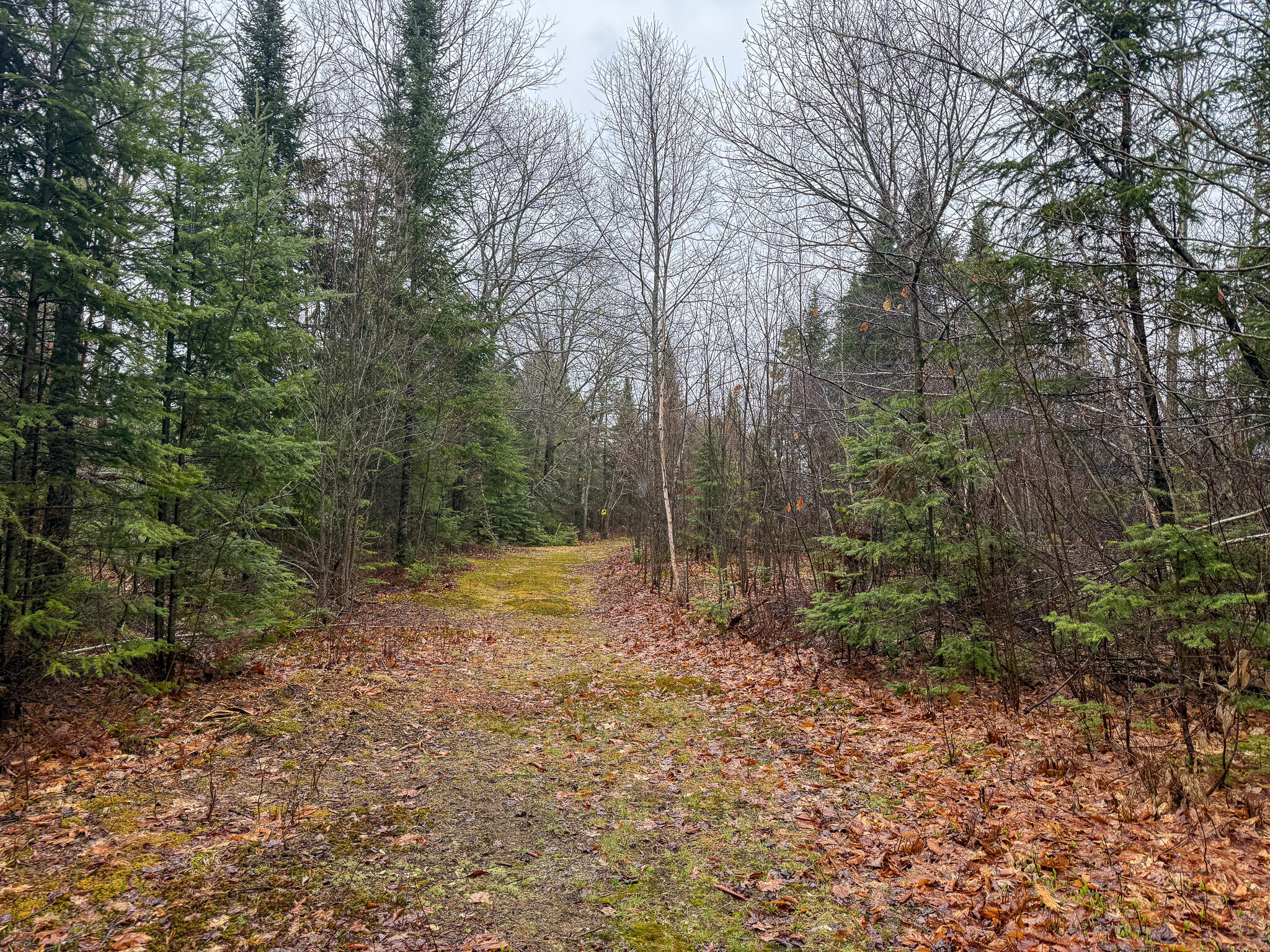 M6-l18 Troy Road Detroit, ME 04929 - Photo 4 of 18 4