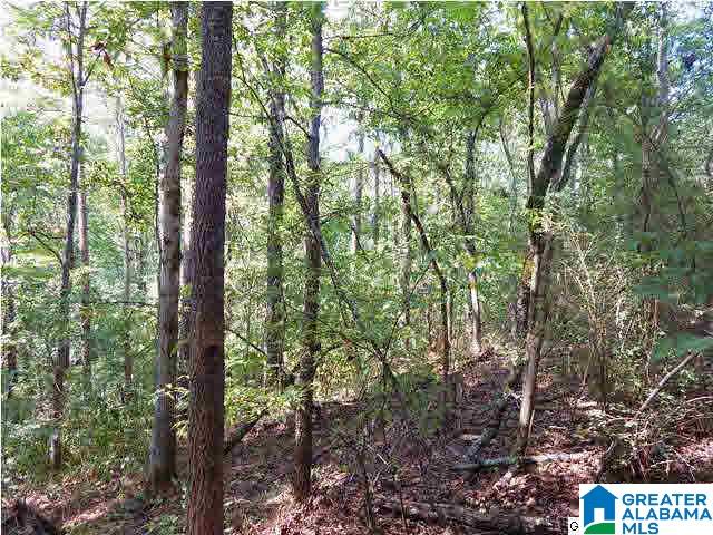 5090 Shady Grove Road Mount Olive, AL 35117 - Photo 25 of 26