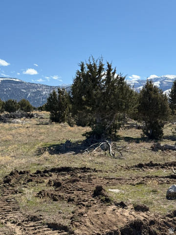 1 Old Highway 89, Unit 1 Spring City, UT 84662 - Photo 3 of 6