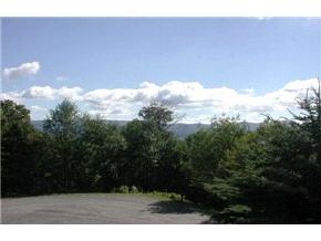 0 Summit, Unit 37 Warren, VT 05674 - Photo 3 of 3 Gallery Image 3