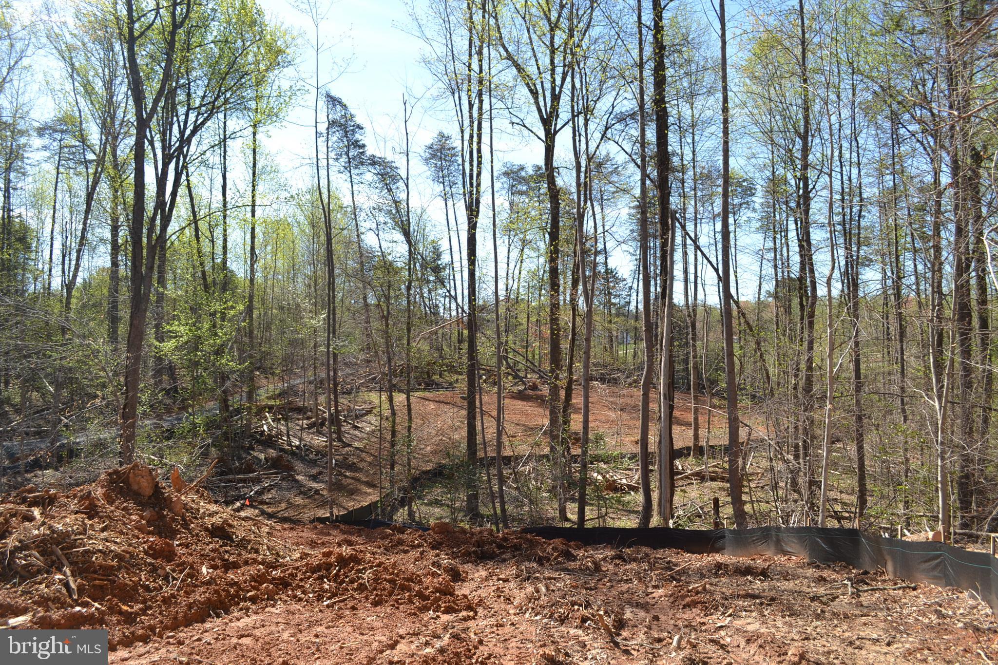 10631 Plank Road Spotsylvania, VA 22553 - Photo 6 of 31