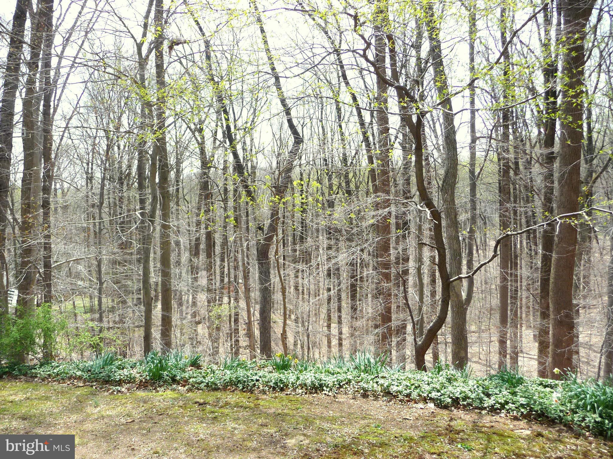 1107 High Country Road Towson, MD 21286 - Photo 12 of 29 View