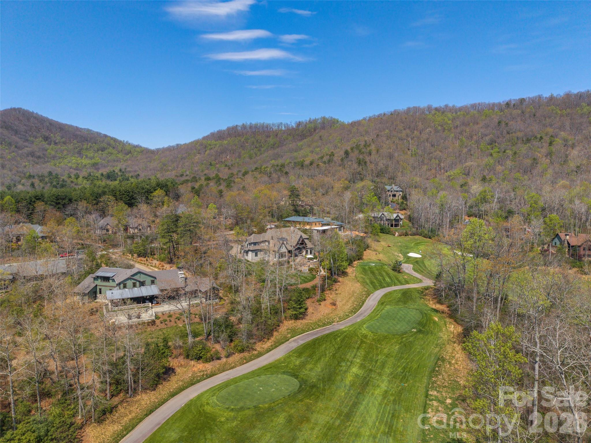 1925 White Tree Trail Arden, NC 28704 - Photo 47 of 48