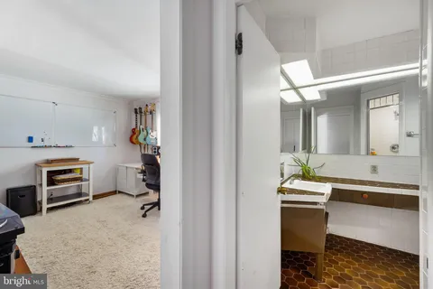 a view of a park with large trees