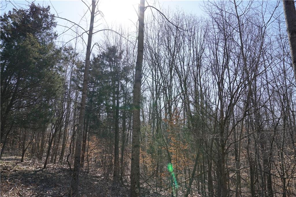 0 North Crossover Road Bloomington, IN 47404 - Photo 11 of 46