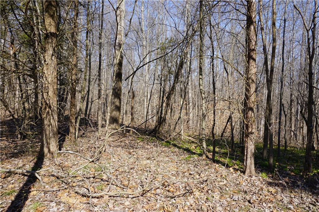 0 North Crossover Road Bloomington, IN 47404 - Photo 13 of 46