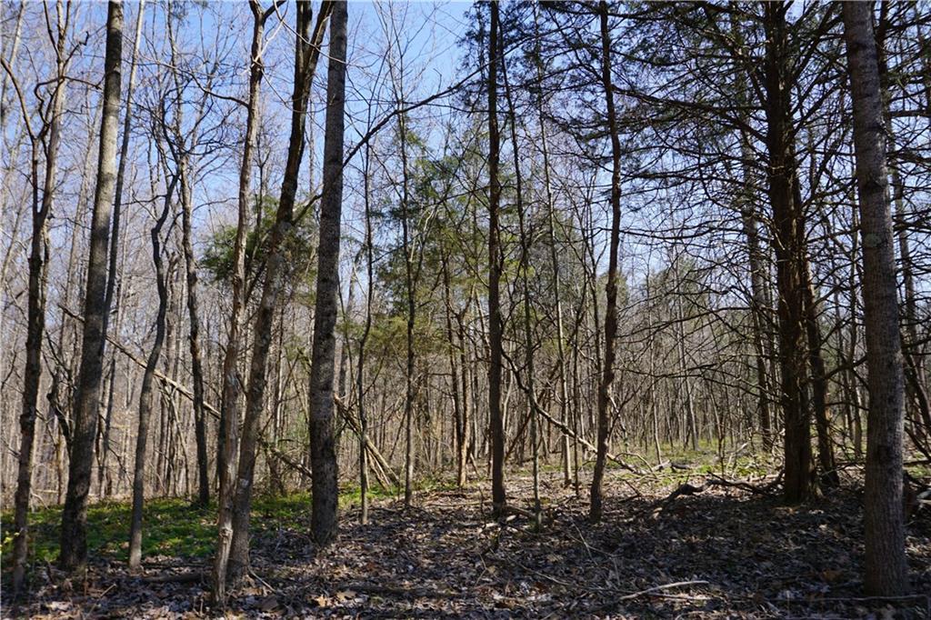 0 North Crossover Road Bloomington, IN 47404 - Photo 14 of 46