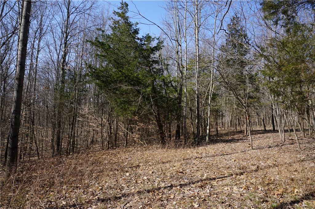 0 North Crossover Road Bloomington, IN 47404 - Photo 17 of 46