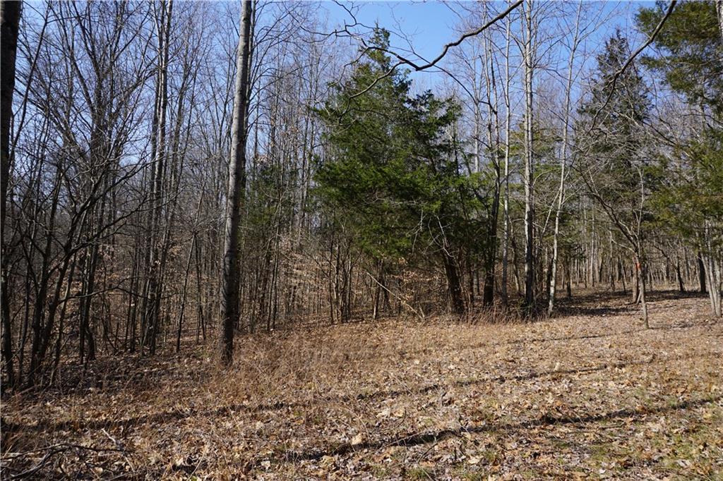 0 North Crossover Road Bloomington, IN 47404 - Photo 18 of 46