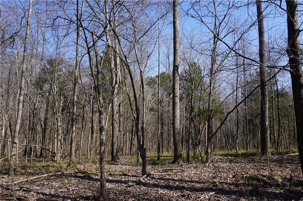 0 North Crossover Road Bloomington, IN 47404 - Photo 20 of 46