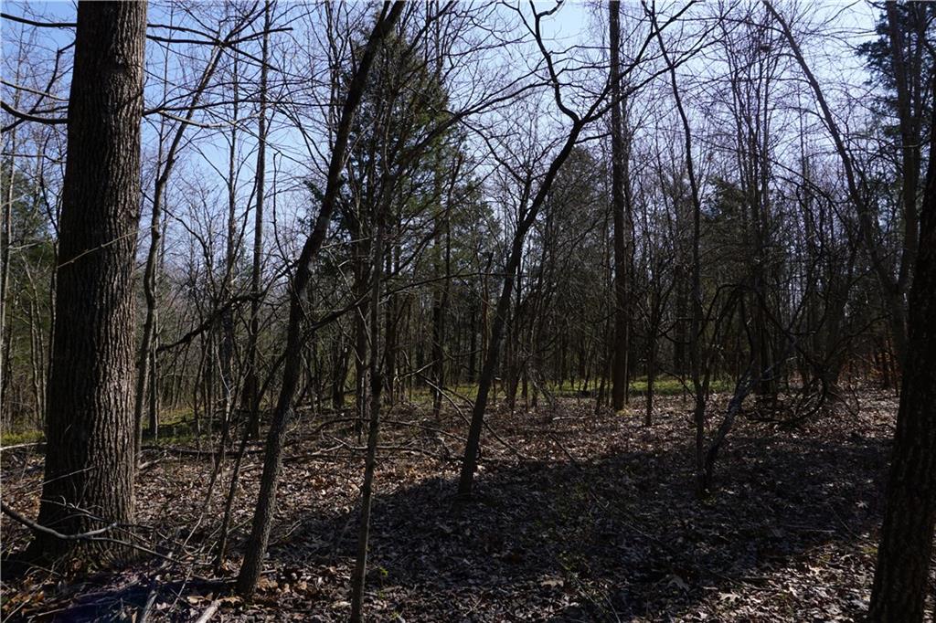 0 North Crossover Road Bloomington, IN 47404 - Photo 21 of 46