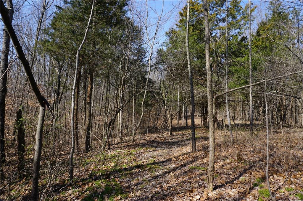 0 North Crossover Road Bloomington, IN 47404 - Photo 22 of 46