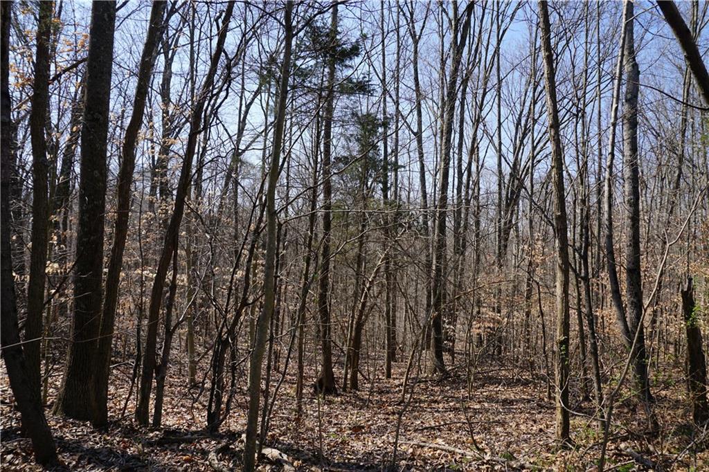 0 North Crossover Road Bloomington, IN 47404 - Photo 23 of 46