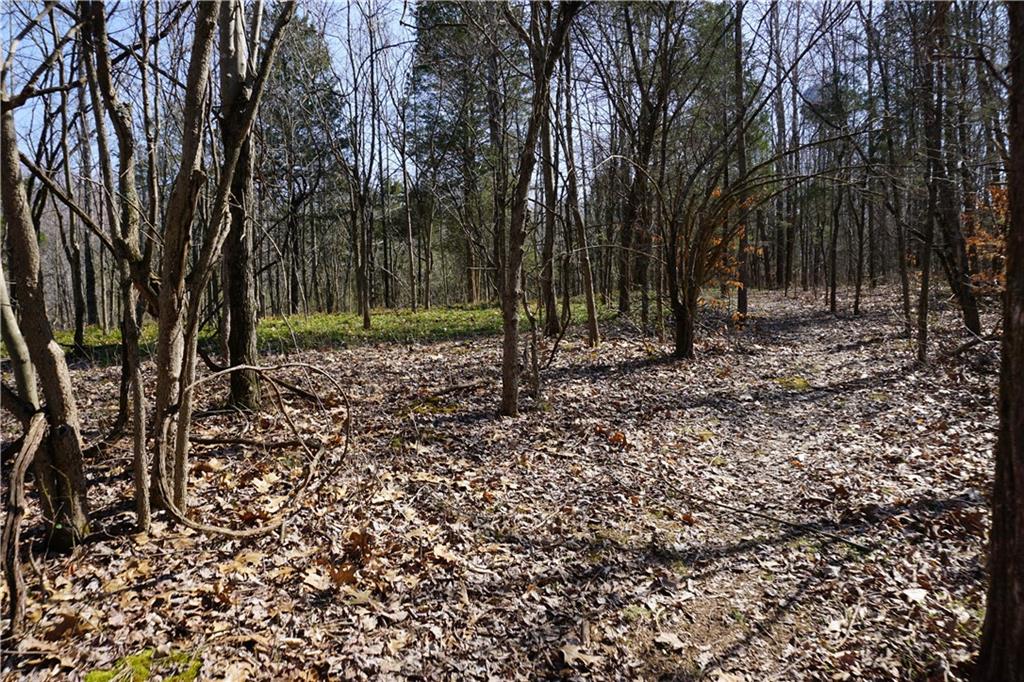 0 North Crossover Road Bloomington, IN 47404 - Photo 24 of 46
