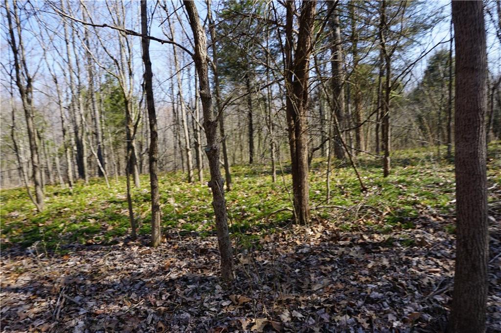 0 North Crossover Road Bloomington, IN 47404 - Photo 26 of 46