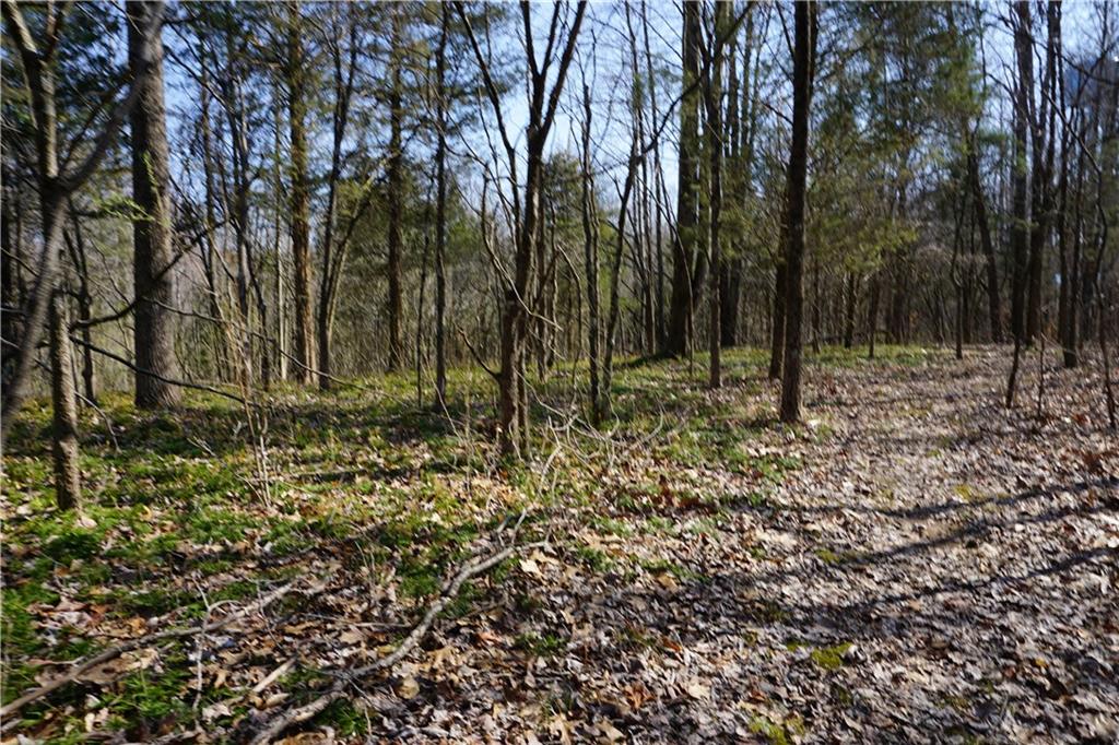 0 North Crossover Road Bloomington, IN 47404 - Photo 27 of 46