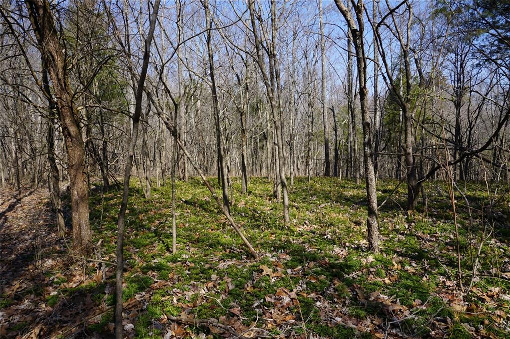0 North Crossover Road Bloomington, IN 47404 - Photo 28 of 46