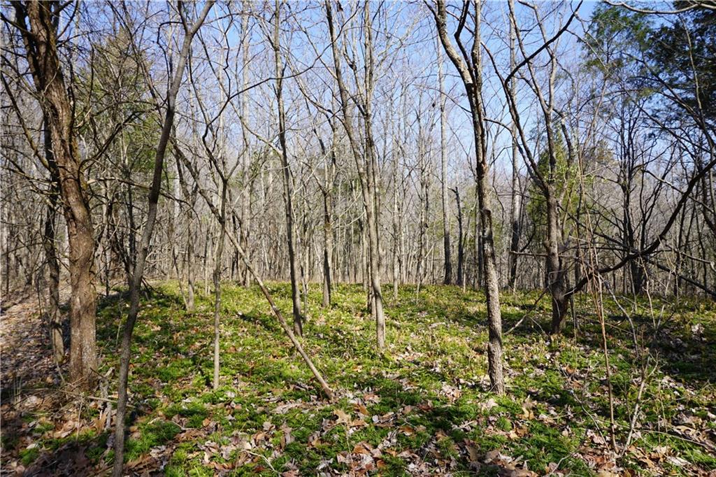 0 North Crossover Road Bloomington, IN 47404 - Photo 29 of 46