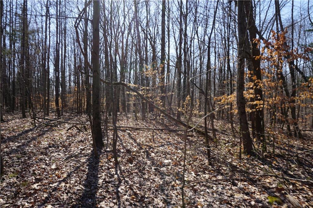 0 North Crossover Road Bloomington, IN 47404 - Photo 30 of 46