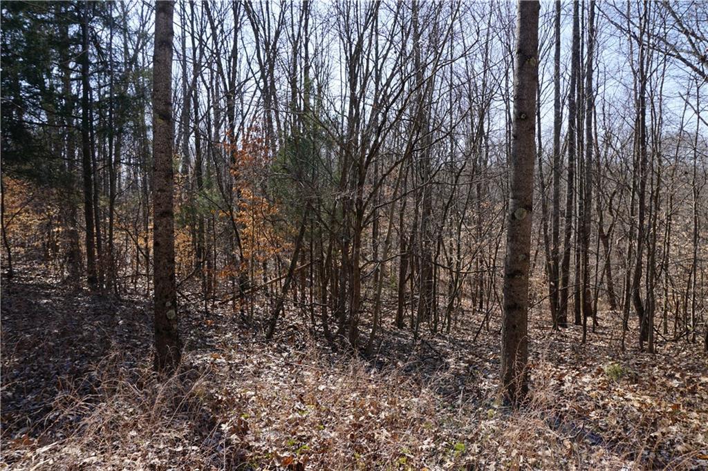 0 North Crossover Road Bloomington, IN 47404 - Photo 4 of 46