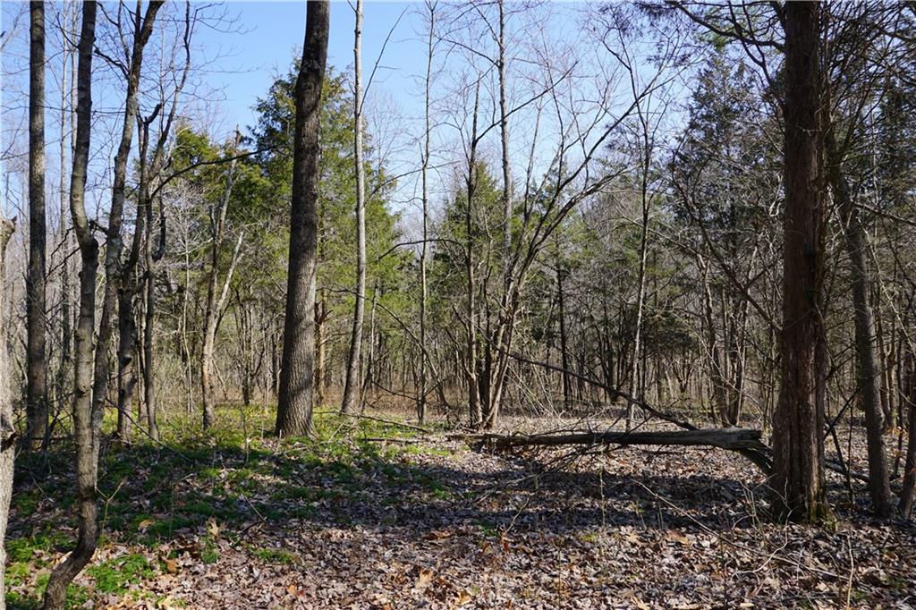 0 North Crossover Road Bloomington, IN 47404 - Photo 32 of 46