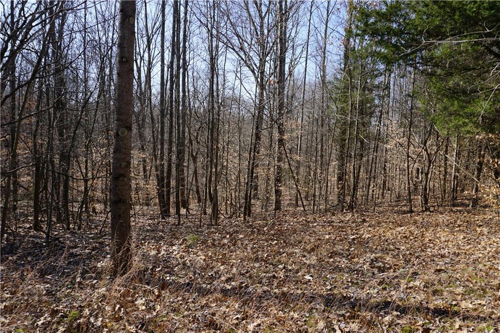 0 North Crossover Road Bloomington, IN 47404 - Photo 5 of 46